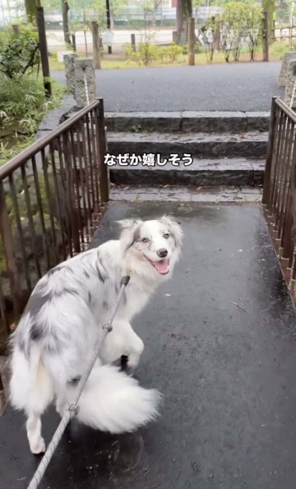ここだよ