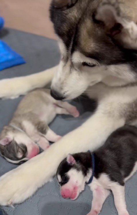 「お腹すいたのかな？」