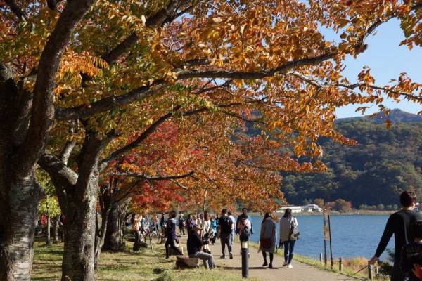 紅葉の湖畔散策路