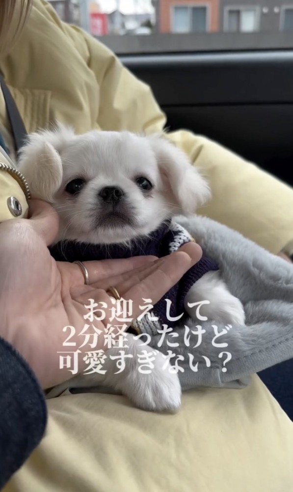 ぬくぬく…