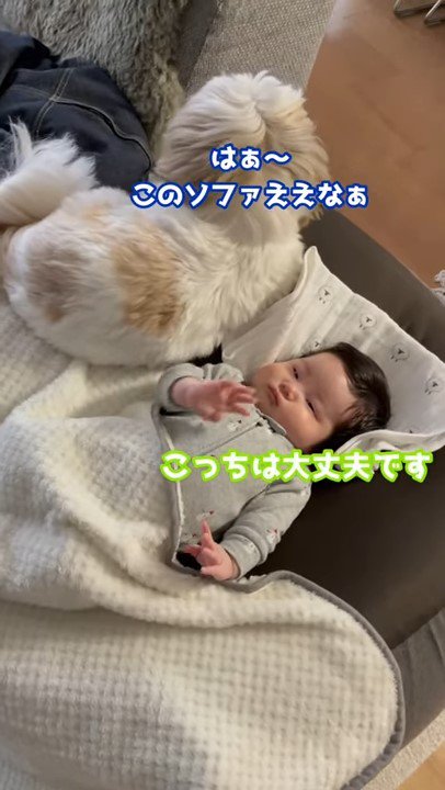 こちらを見て手を振る赤ちゃんと犬