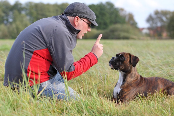 アイコンタクトを取る男性と犬