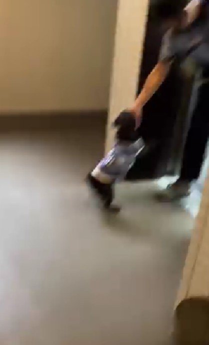 お客さんが登場!!