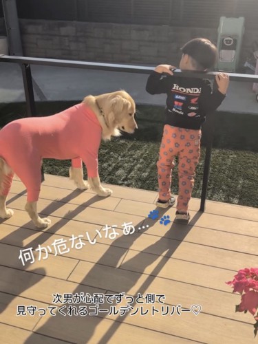 ウッドデッキで外を見つめる男の子と犬