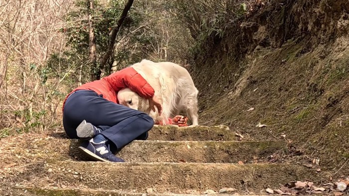 健気な姿が愛おしい