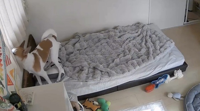 もう一度外を確認