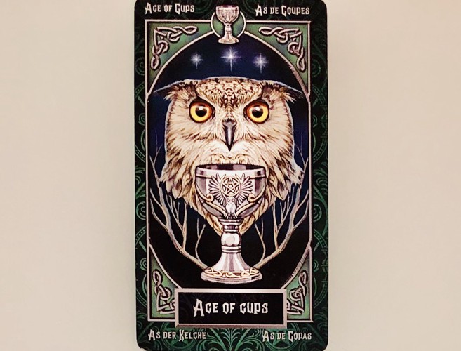 ACEofCUPS