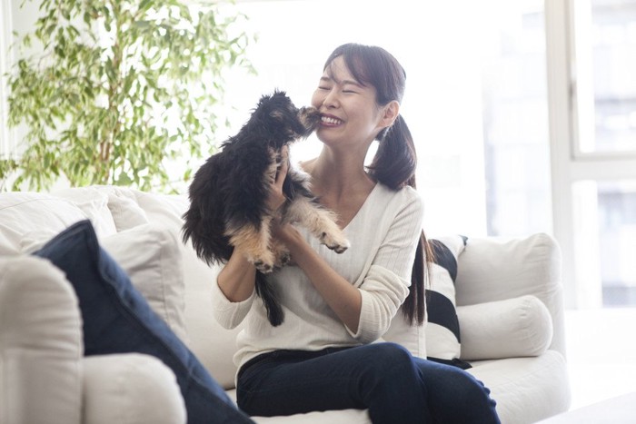 ソファーに座る女性と長毛の子犬