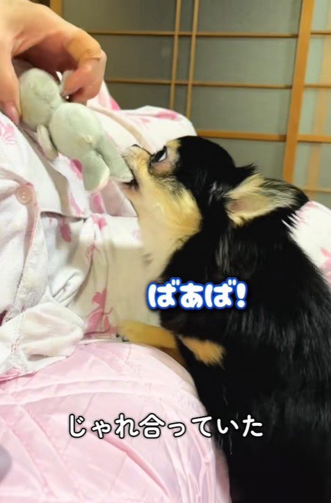 こまちゃんとおばあちゃん5