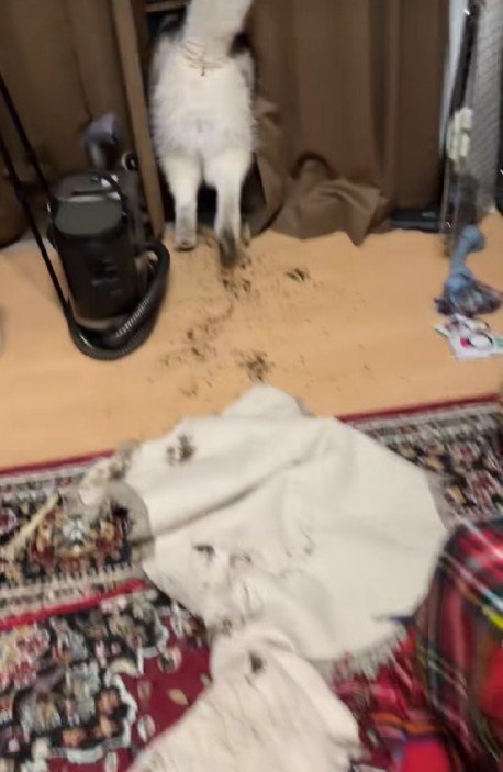 悪びれない姿にクスッ