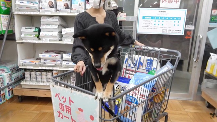 「絶対行きたくない!帰ろうよ~」