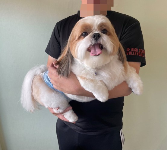 ニコニコ