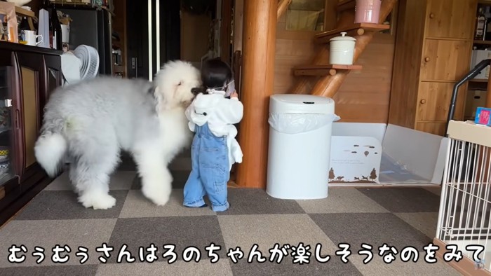 女の子にクンクンするモフモフの犬