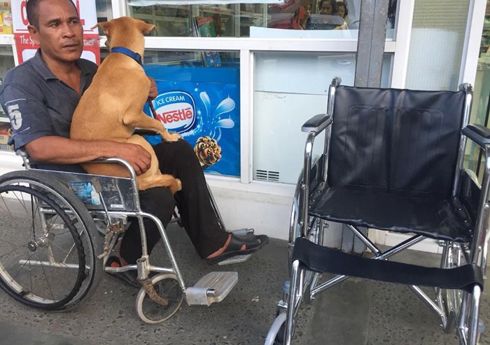 犬と男性