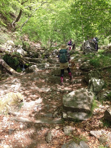 登山中の後ろ姿