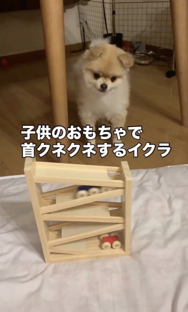 車に合わせて