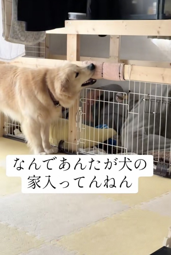 「そこは僕の家!」