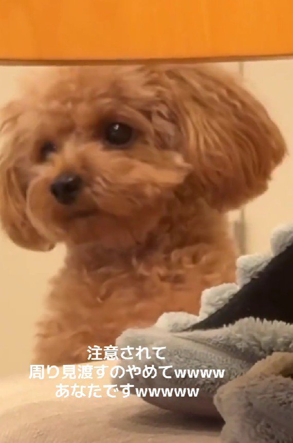 「あなたですか?」