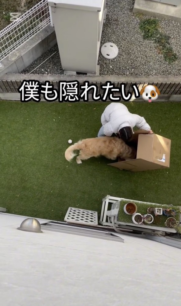 僕も入りたい