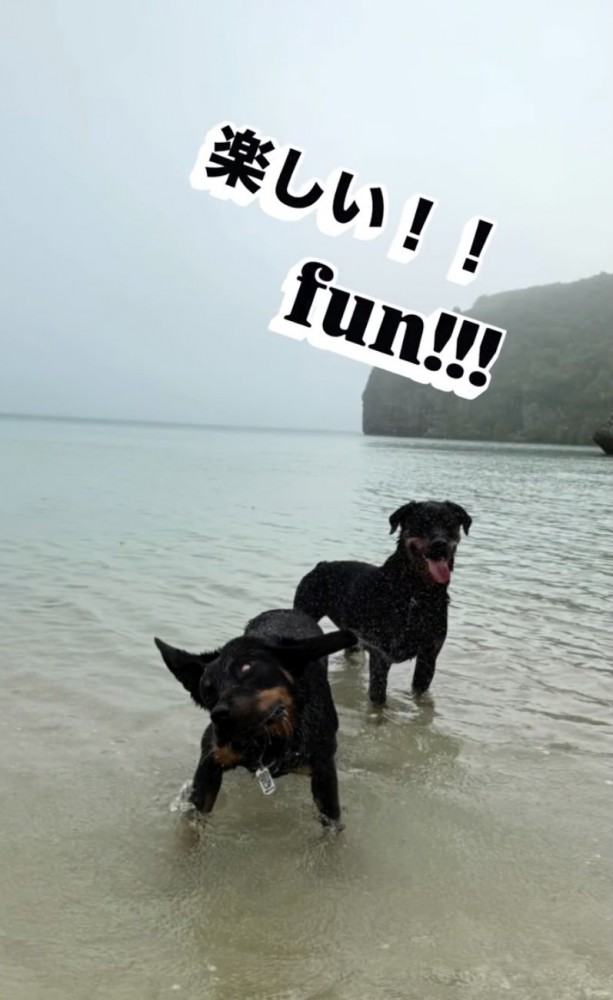 「海だーーいすき!!」