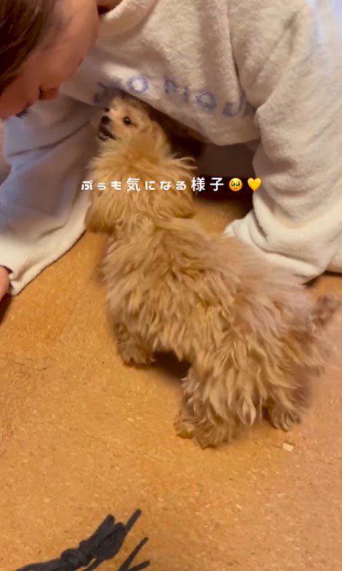 ぷぅちゃんとうみちゃんの初対面7