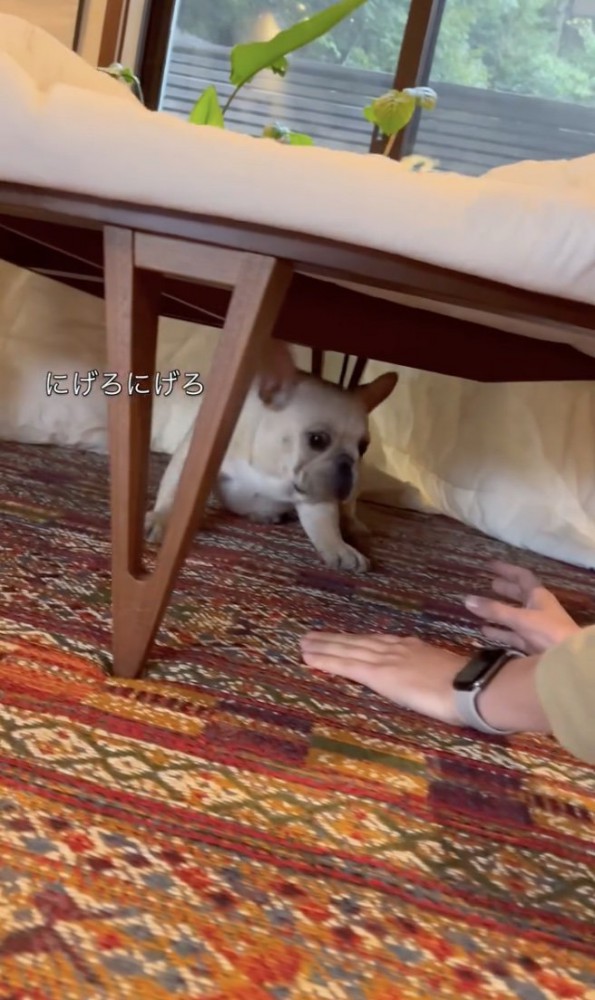 とにかく奥へ