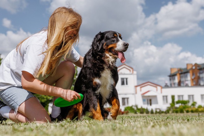 フリスビーで遊ぶ犬