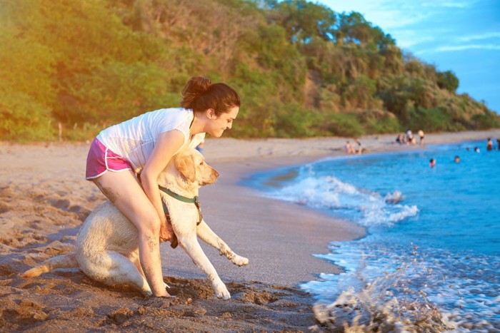 海に入るのが怖い犬