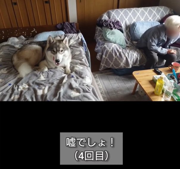 4回目の嘘でしょを言うおばあちゃん