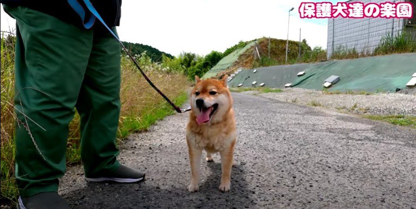 ボランティアさん