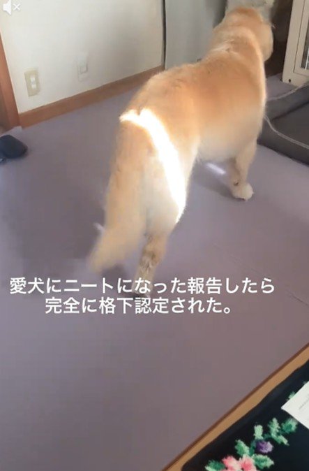 「ニートに用はない」