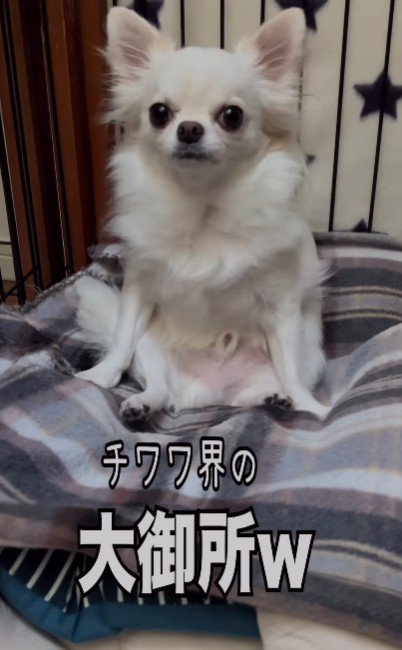大御所になっちゃった♪
