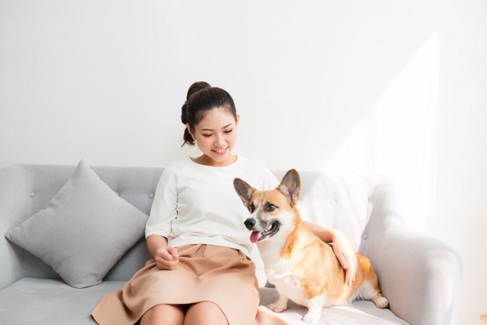 ソファーに女性とコーギー