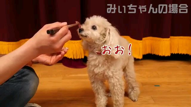 おお！～字幕