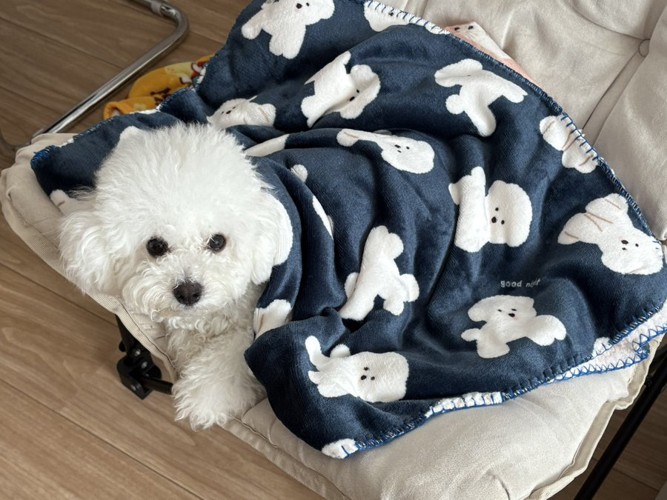 遊ぶのが大好き