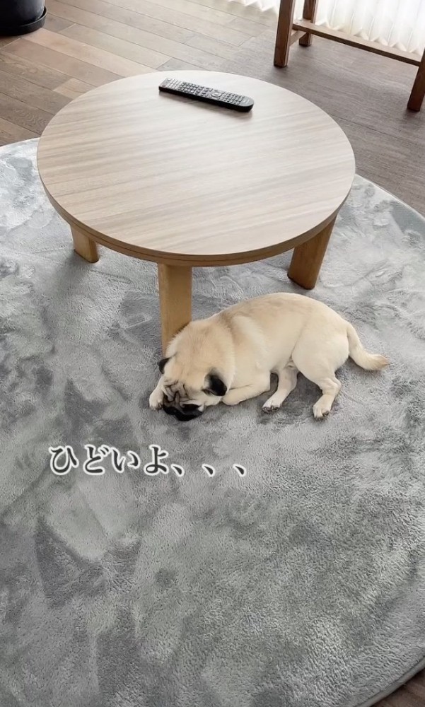 ふて寝