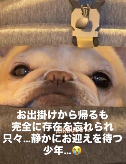 カートで過ごすのが好き