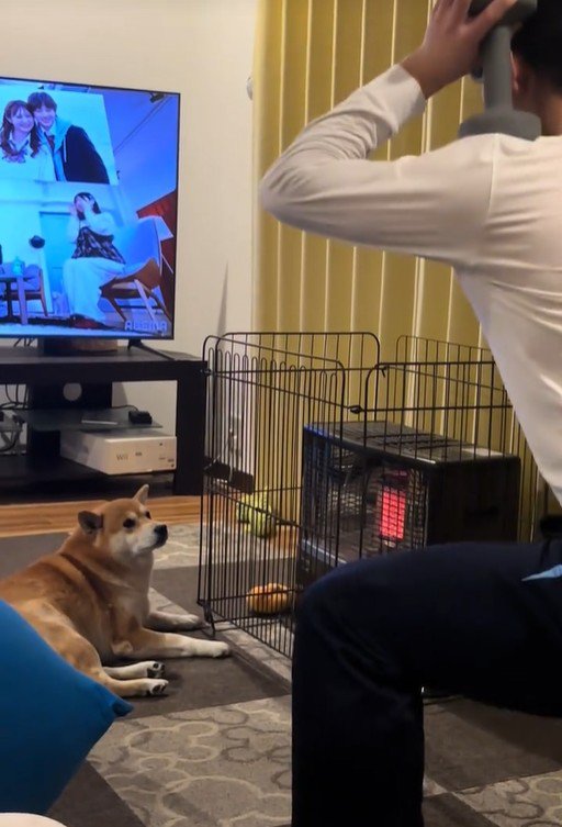 暖を取りながら見守るこじろー君