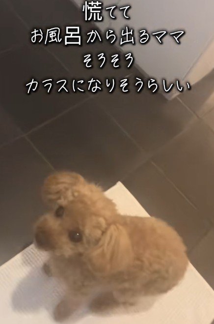 ママのお風呂待ち♡