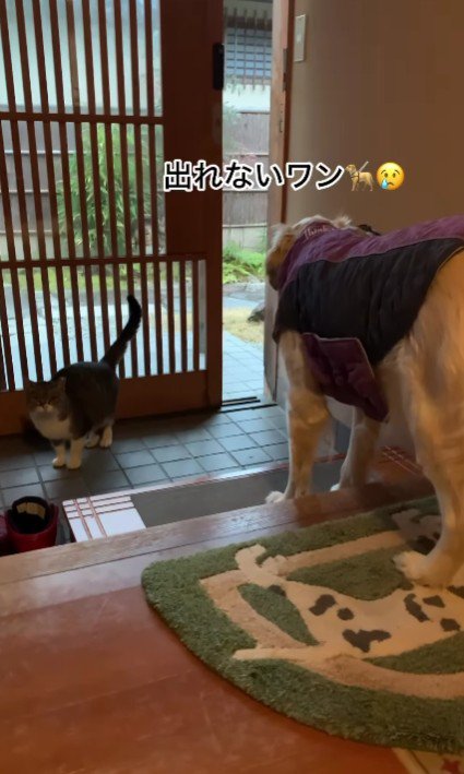 出られませんでした！