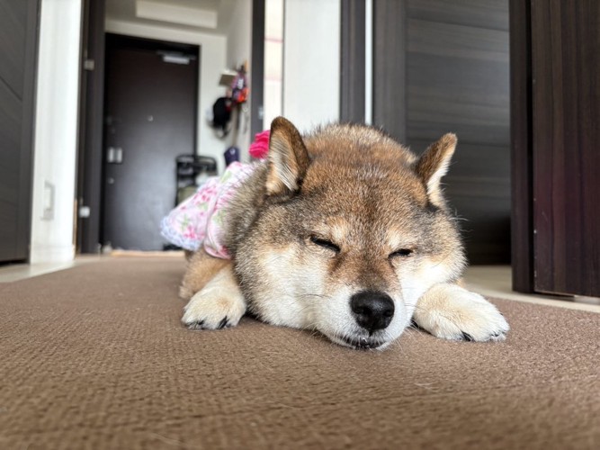 ウトウト