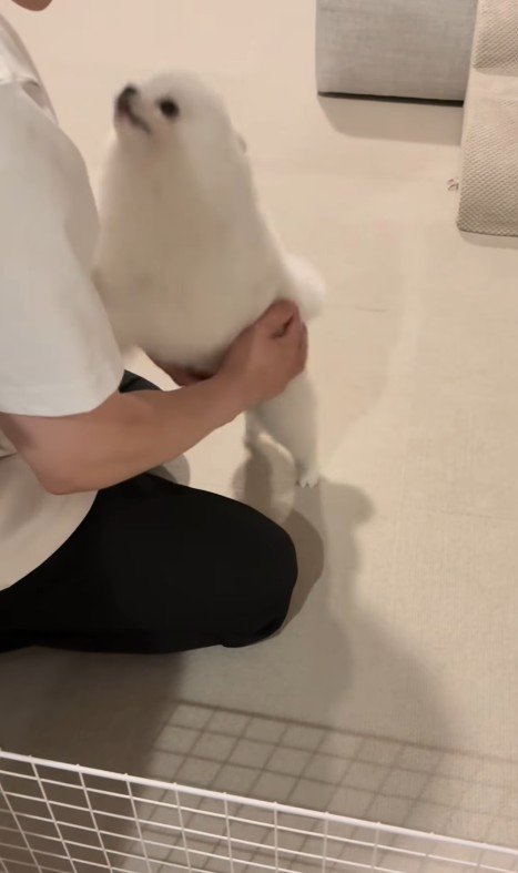 飛びついて熱烈大歓迎♪