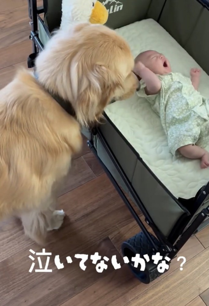 赤ちゃんが動くと、気になっちゃう