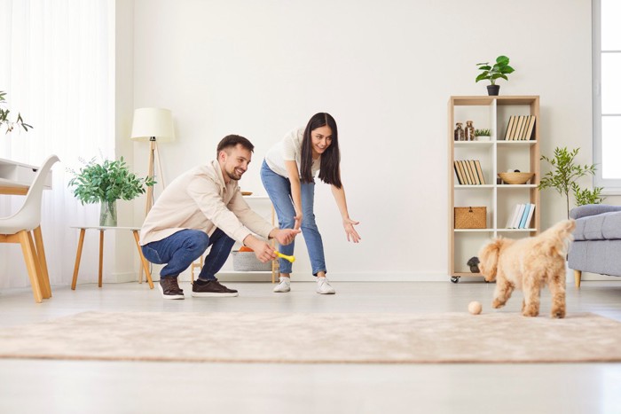 カップルと犬