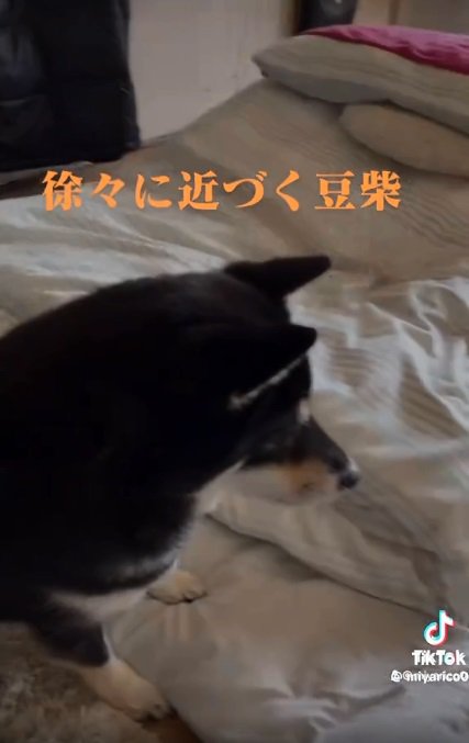 リコちゃんのそばまで近づくミヤビちゃん