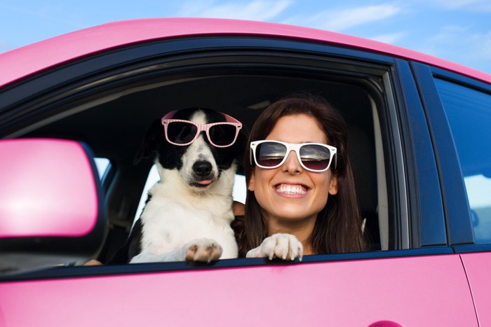 犬とドライブ