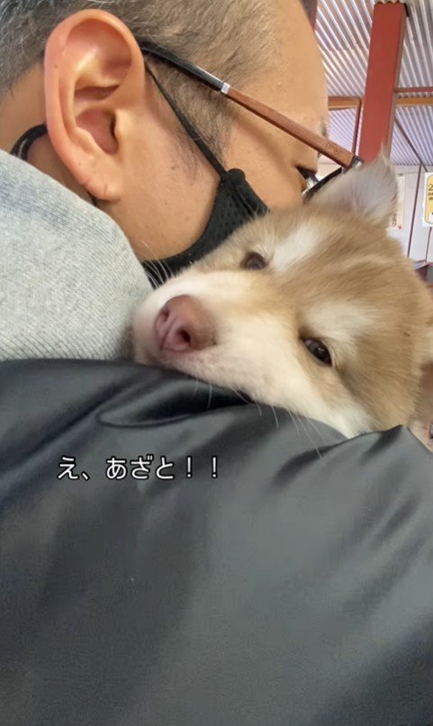 茶々丸くんと飼い主さんの出会い9