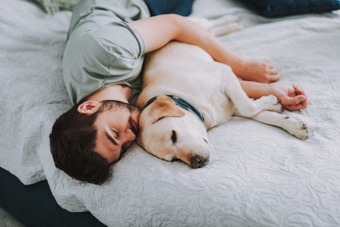 寄り添って眠る男性とラブラドール