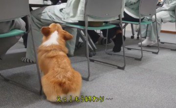 「もう終わり？」