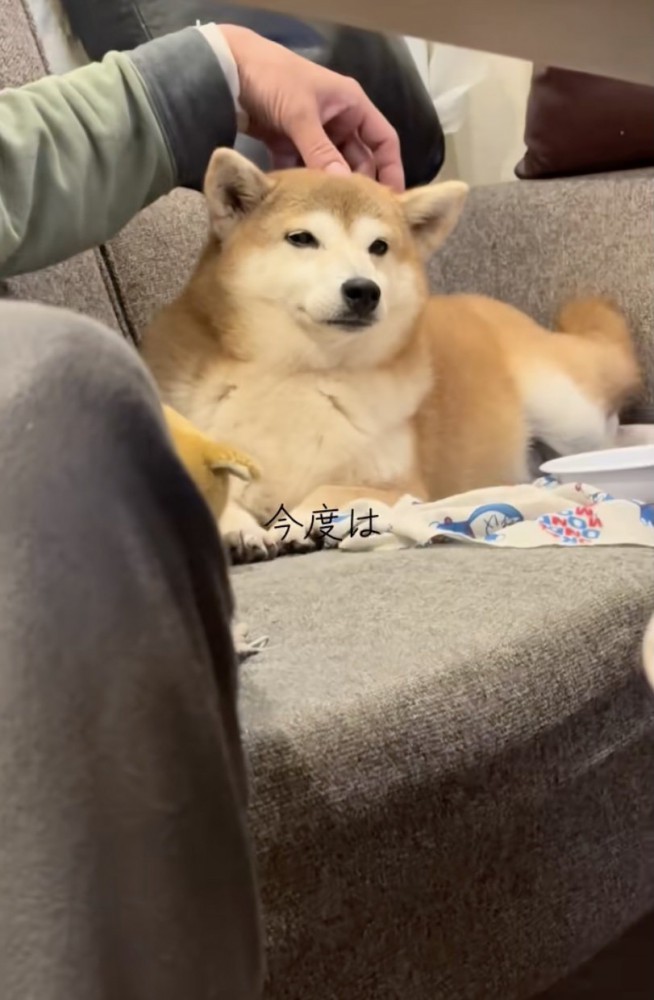 さっきまでと様子が違う…